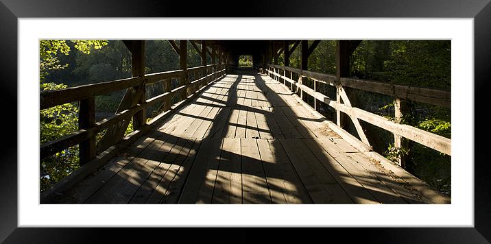 Bridge over the River Sava Framed Mounted Print by Ian Middleton