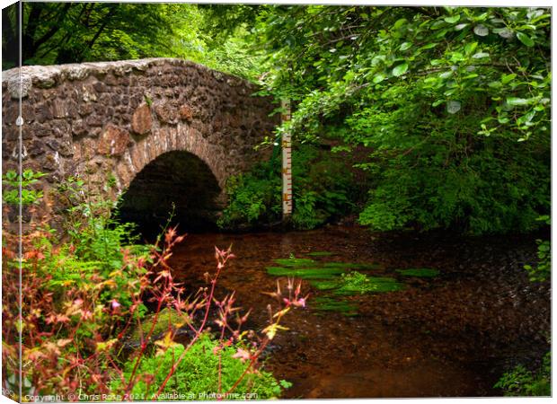 Dartmoor, old stone bridge Canvas Print by Chris Rose