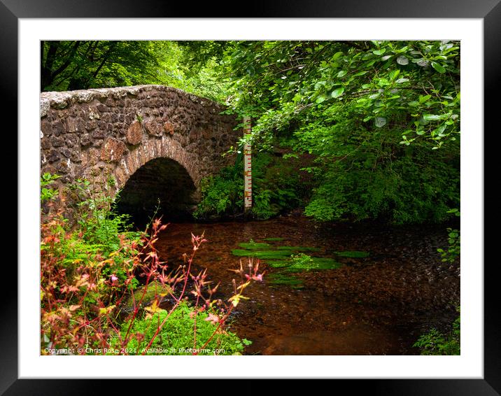 Dartmoor, old stone bridge Framed Mounted Print by Chris Rose