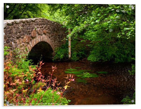 Dartmoor, old stone bridge Acrylic by Chris Rose