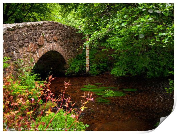 Dartmoor, old stone bridge Print by Chris Rose