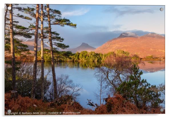 Loch Cul Dromannan Drumrunie NC500 Scotland Acrylic by Barbara Jones