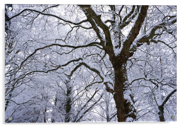 Snowy trees, Merthyr Tydfil, South Wales, UK. Acrylic by Andrew Bartlett