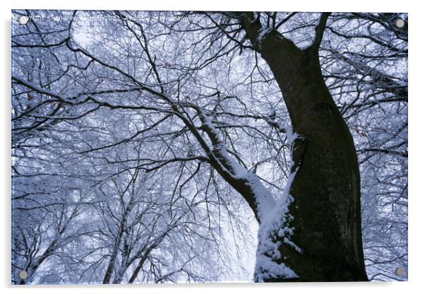 Snowy trees, Merthyr Tydfil, South Wales, UK. Acrylic by Andrew Bartlett