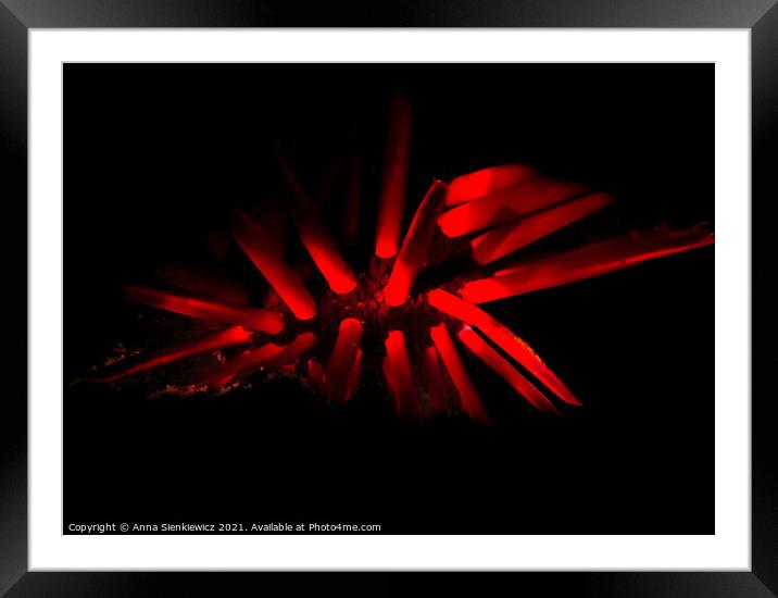 Fireworks in the sea Framed Mounted Print by Anna Sienkiewicz