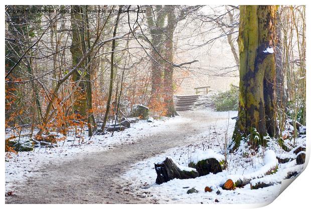 Enchanting Winter Wonderland Print by Andrew Heaps