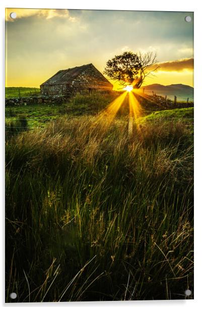 Old Farm Barn Sunset Acrylic by Dafydd Emyr Jones