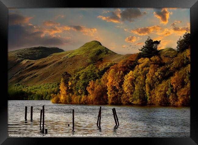 AUTUMN ON DERWENT WATER Framed Print by Tony Sharp LRPS CPAGB