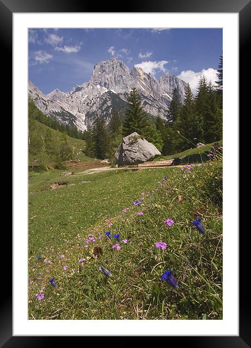 Alpine scenery Framed Mounted Print by Thomas Schaeffer