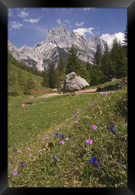 Alpine scenery Framed Print by Thomas Schaeffer