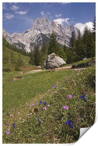 Alpine scenery Print by Thomas Schaeffer