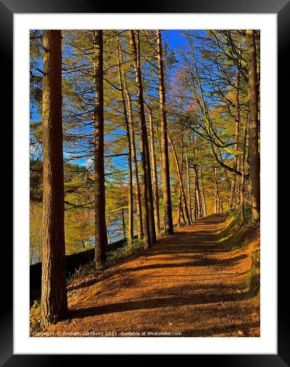 Langsett Reservoir Forest Path, Peak District Framed Mounted Print by Graham Lathbury