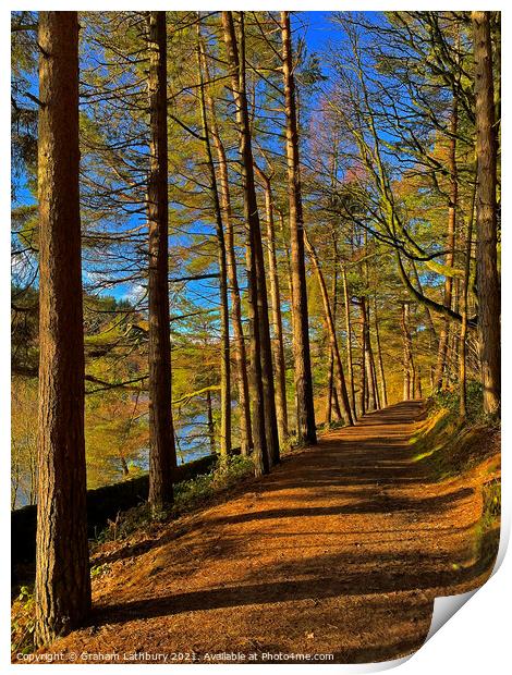 Langsett Reservoir Forest Path, Peak District Print by Graham Lathbury