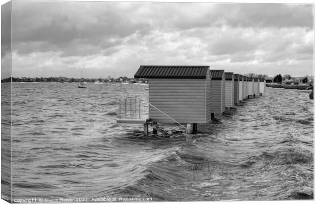 Breezy Osea View Mono  Canvas Print by Diana Mower