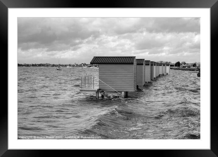 Breezy Osea View Mono  Framed Mounted Print by Diana Mower