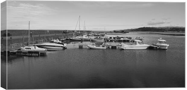Maidens harbour mono Canvas Print by Allan Durward Photography