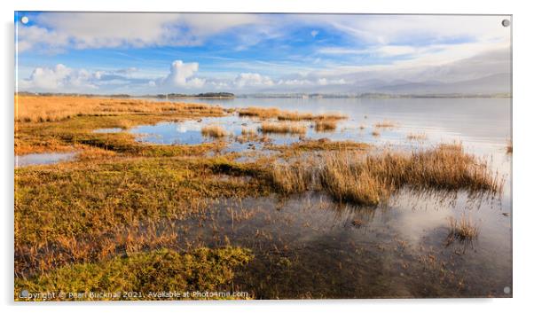 Abermenai and Menai Strait Anglesey Panorama Acrylic by Pearl Bucknall