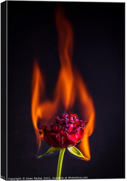 Fiery Beauty Canvas Print by Dean Packer