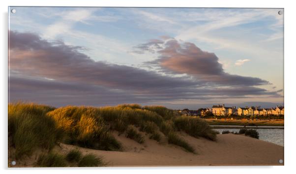Sand dunes between Crosby beach and the marina Acrylic by Jason Wells