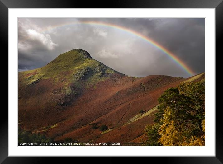 CATBELLS' AUTUMN Framed Mounted Print by Tony Sharp LRPS CPAGB