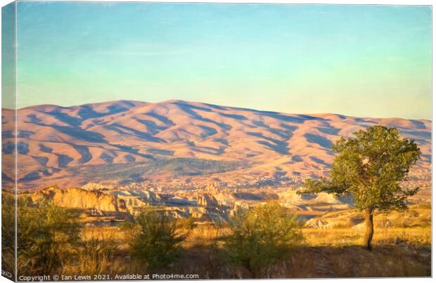 A view over Cappadocia Canvas Print by Ian Lewis