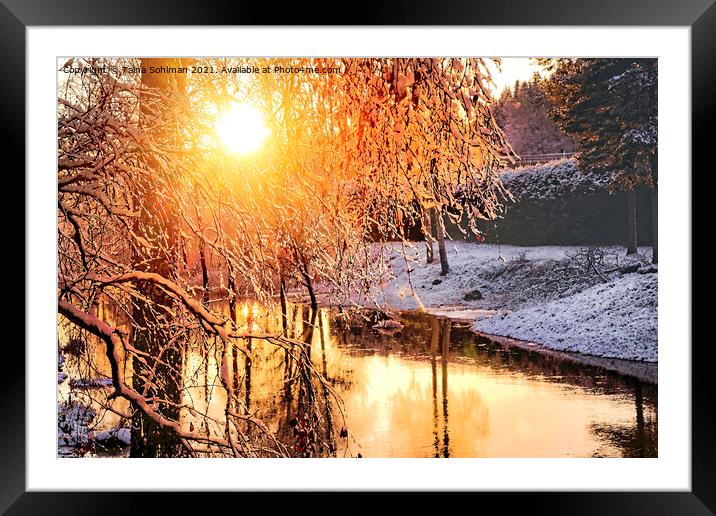 Golden River Framed Mounted Print by Taina Sohlman