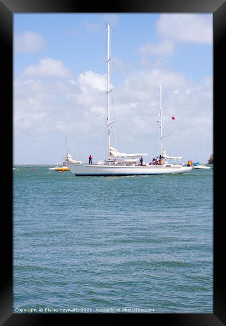 Donald Searle yacht leaving Cowes harbour Framed Print by Elaine Hayward