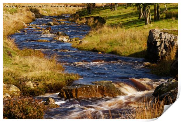 WATER IN YORKSHIRE Print by andrew saxton