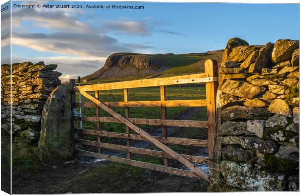 The Norber Eratics around Austwick in Craven in  th Canvas Print by Peter Stuart