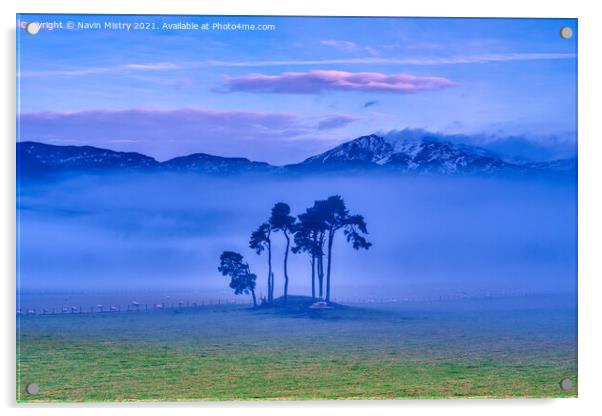 Pitlochry Dawn Mist Acrylic by Navin Mistry