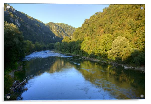 River Sava Acrylic by Ian Middleton