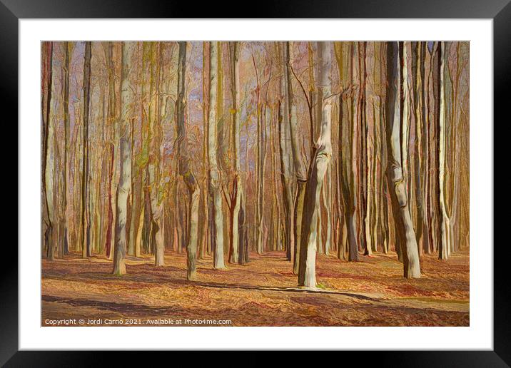 Autumn Symphony - CR2112-6423-PIN Framed Mounted Print by Jordi Carrio