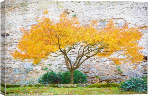 Autumnal Majesty - CR2112-6439-PIN Canvas Print by Jordi Carrio