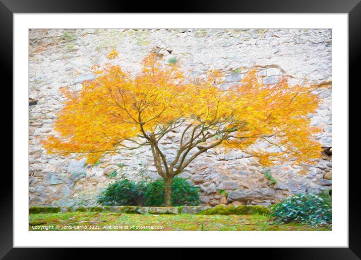 Autumnal Majesty - CR2112-6439-PIN Framed Mounted Print by Jordi Carrio