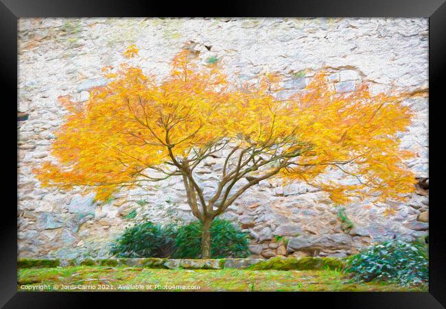 Autumnal Majesty - CR2112-6439-PIN Framed Print by Jordi Carrio
