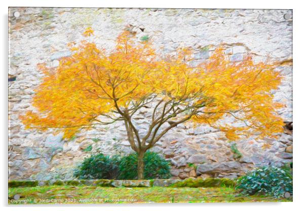 Autumnal Majesty - CR2112-6439-PIN Acrylic by Jordi Carrio