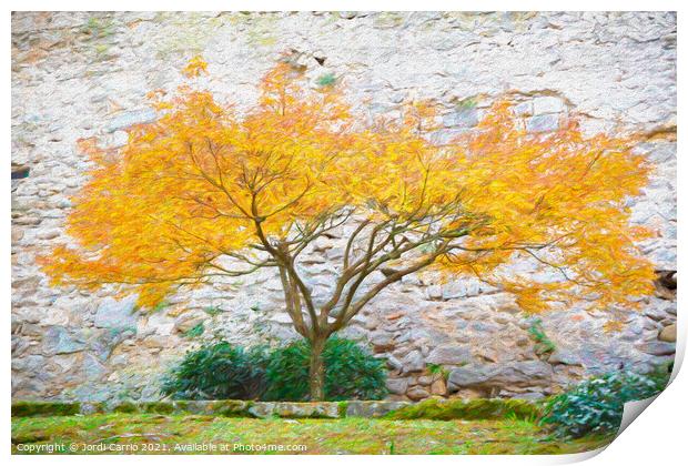 Autumnal Majesty - CR2112-6439-PIN Print by Jordi Carrio