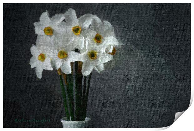 White Daffodils in Vase Plant flower Print by PAULINE Crawford