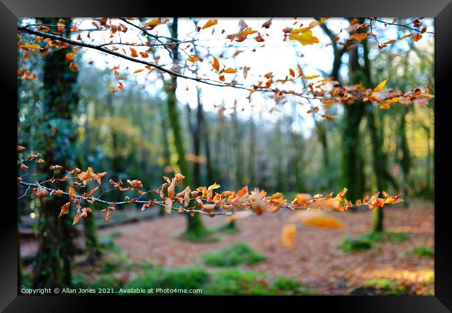Autumn Leaves Framed Print by Allan Jones
