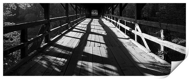 Bridge over the River Sava Print by Ian Middleton