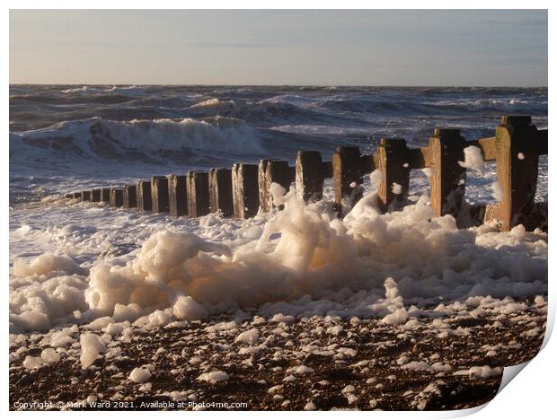 Foaming Frenzy Print by Mark Ward