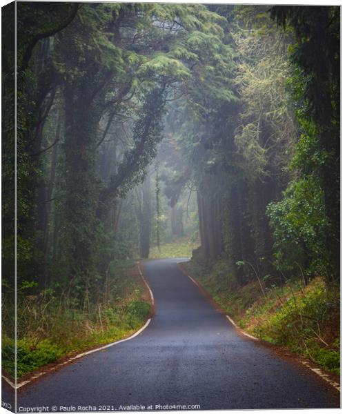 Foggy road in Sintra mountain forest Canvas Print by Paulo Rocha