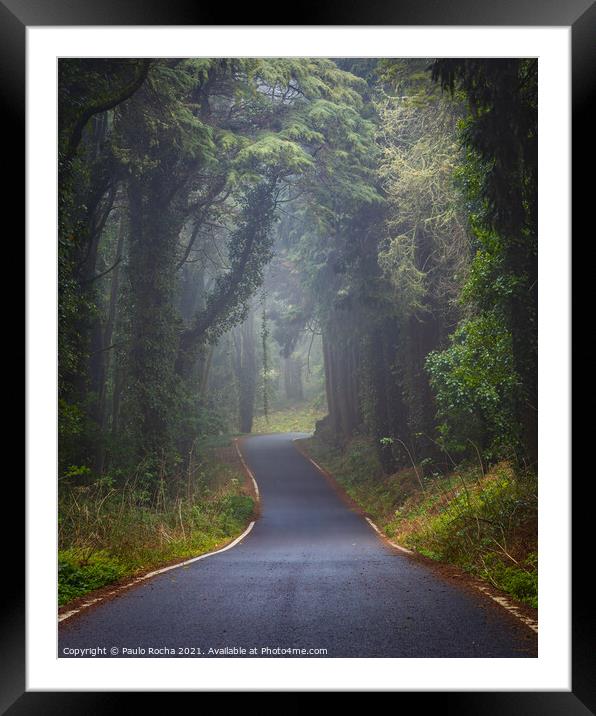 Foggy road in Sintra mountain forest Framed Mounted Print by Paulo Rocha