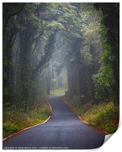Foggy road in Sintra mountain forest Print by Paulo Rocha