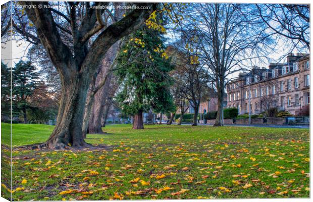 Autumn and the South Inch, Perth Scotland Canvas Print by Navin Mistry