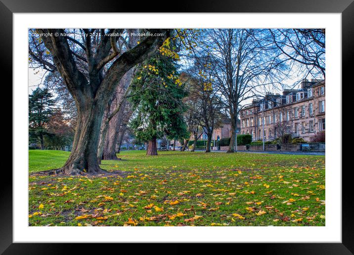 Autumn and the South Inch, Perth Scotland Framed Mounted Print by Navin Mistry