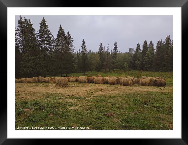 Outdoor grass Framed Mounted Print by Larisa Siverina