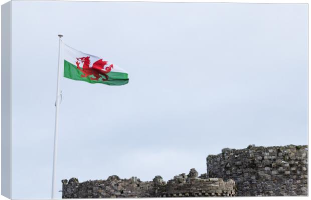 Welsh flag above Beaumaris Castle Canvas Print by Jason Wells