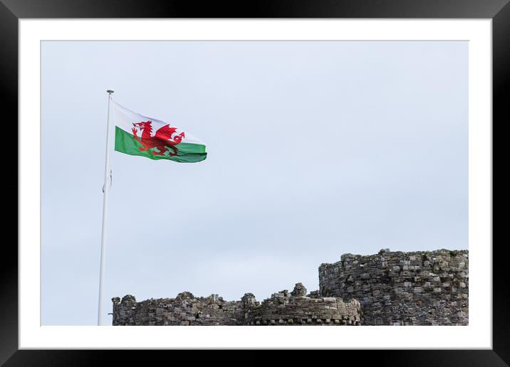 Welsh flag above Beaumaris Castle Framed Mounted Print by Jason Wells