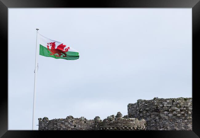 Welsh flag above Beaumaris Castle Framed Print by Jason Wells